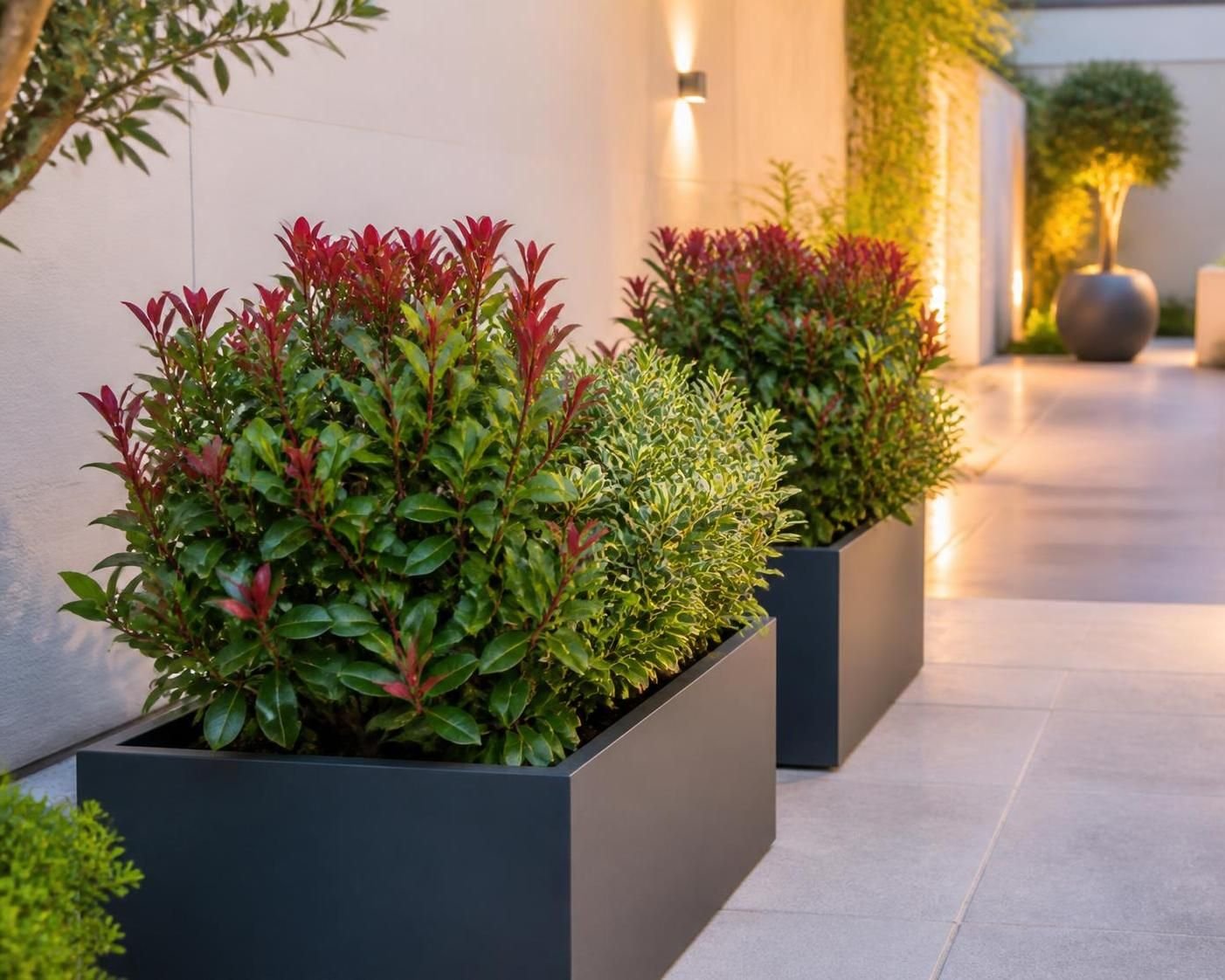 découvrez comment un petit arbuste décoratif peut transformer votre jardin en un espace élégant et charmant. idées et conseils pour sublimer votre extérieur avec style.